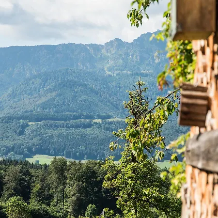 Bed & Breakfast Garni Alpenblick 3*